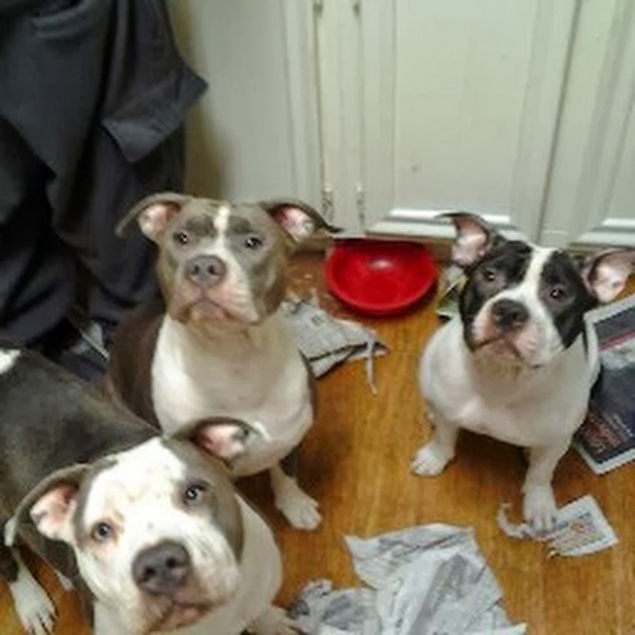 Meet your Posher, Taleeia - Picture 1 of 1